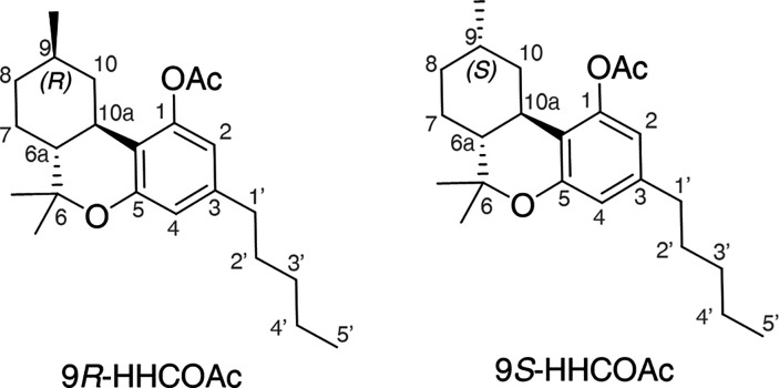 PMC13261594 – fig2