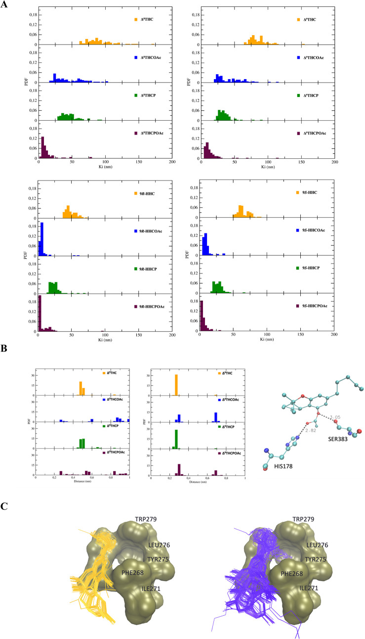 PMC13261594 – fig7