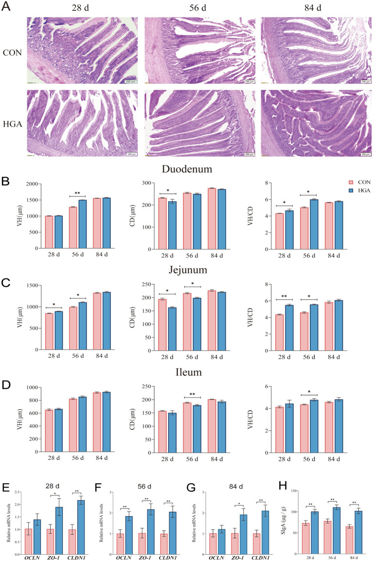 PMC13253404 – fig2