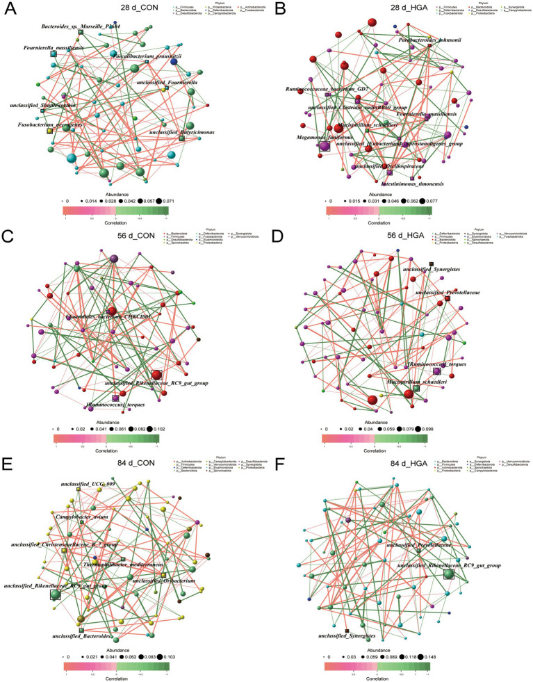 PMC13253404 – fig6