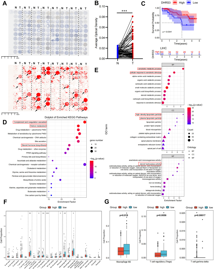 PMC13264070 – fig2