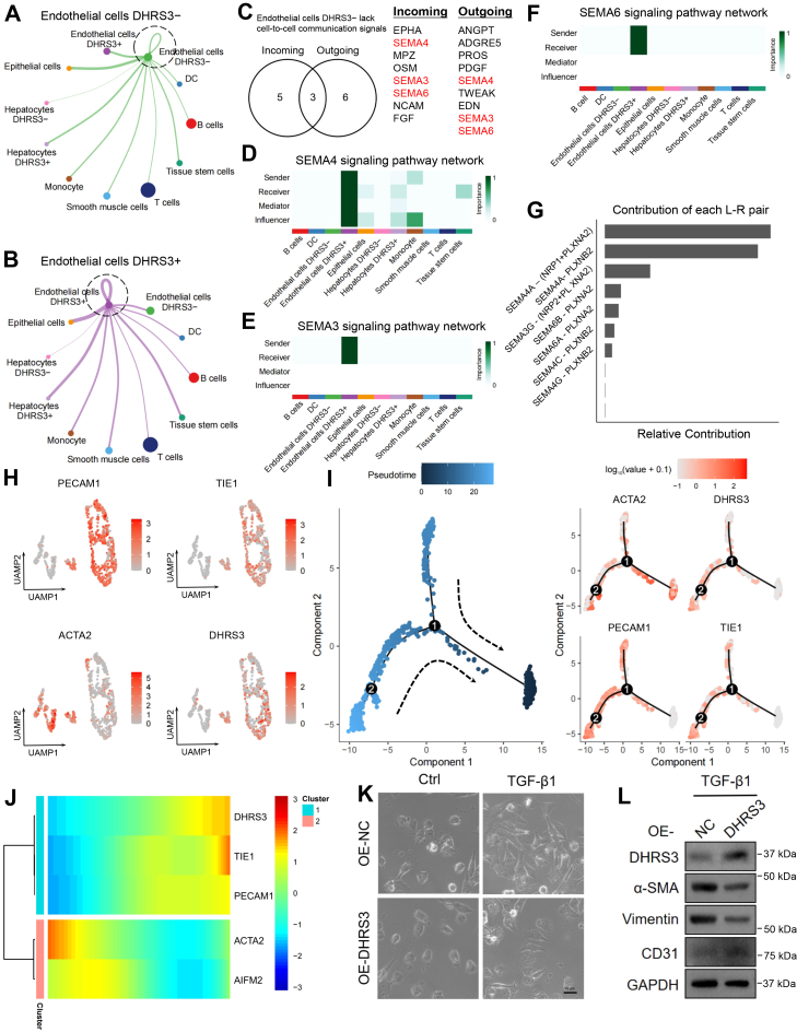 PMC13264070 – fig4