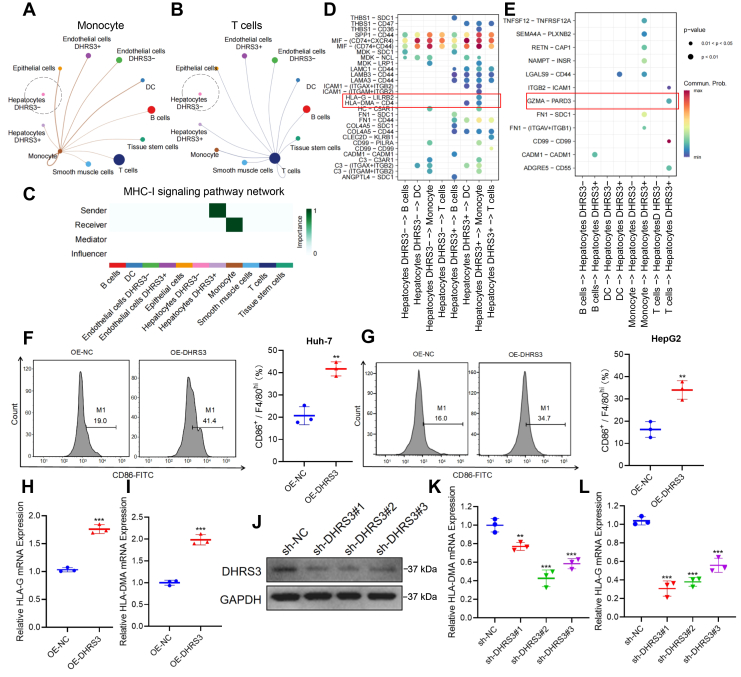 PMC13264070 – fig5