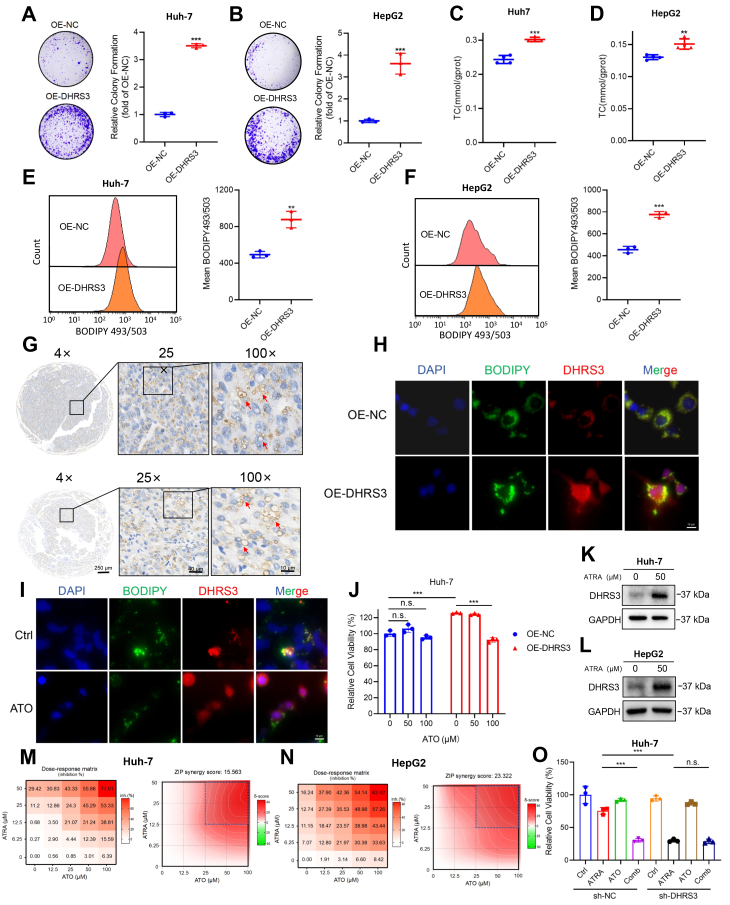 PMC13264070 – fig6
