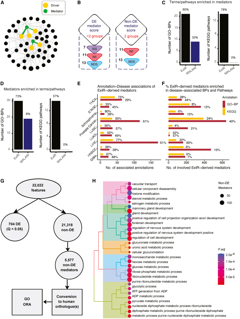PMC13264208 – fig6