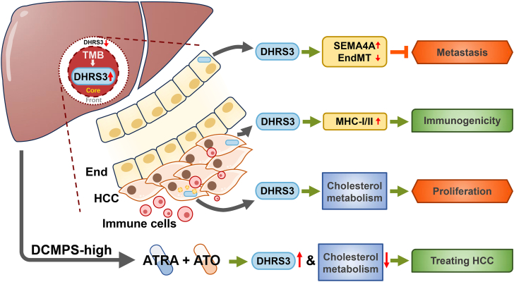 PMC13264070 – fig9