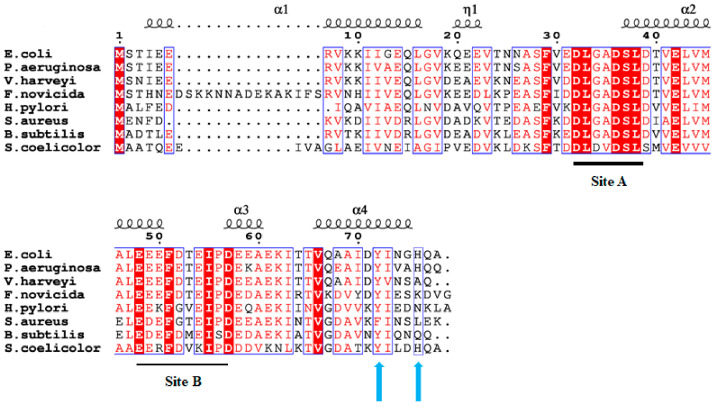 PMC13256389 – ijms-27-04823-f001