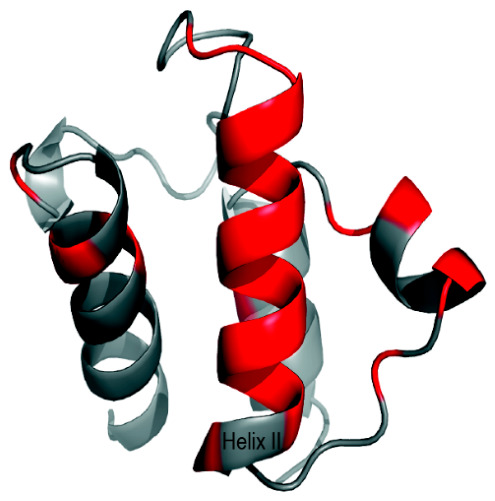 PMC13256389 – ijms-27-04823-f011