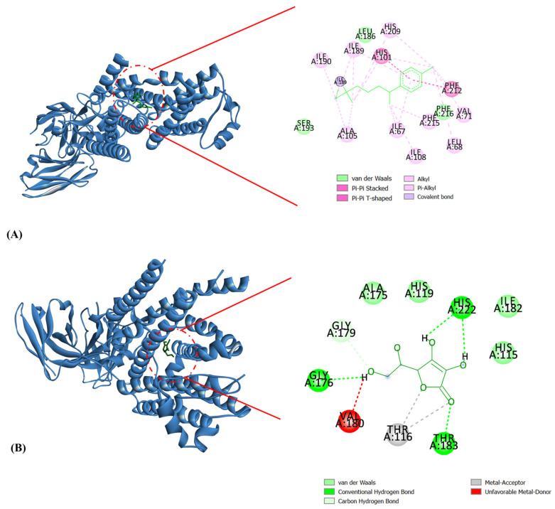 PMC13257954 – molecules-31-01814-f004