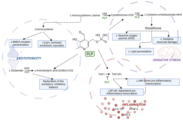 PMC13258797 – nutrients-18-01734-f003