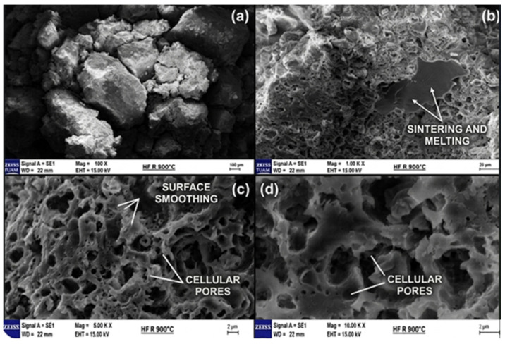 PMC13259237 – polymers-18-01288-f015