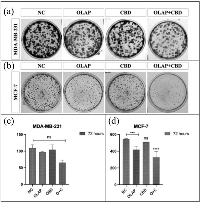 PMC13279729 – Fig5