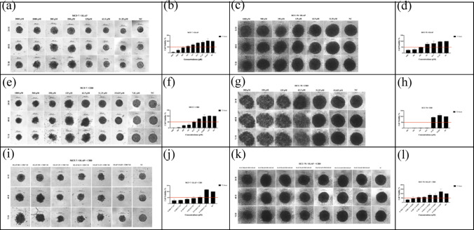 PMC13279729 – Fig6