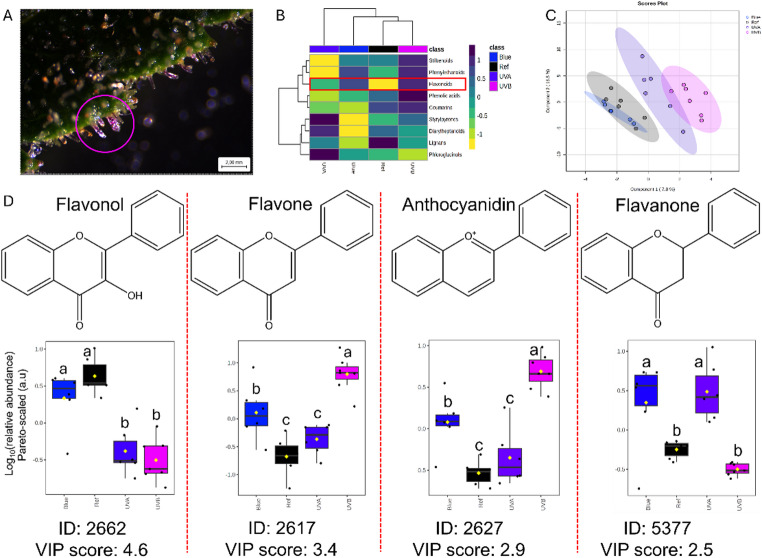 PMC13323782 – Fig3