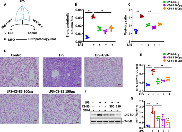 PMC13374314 – Fig5