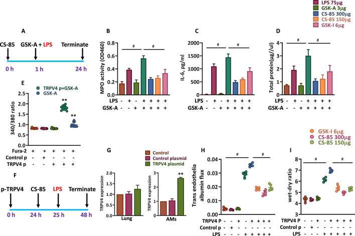 PMC13374314 – Fig6