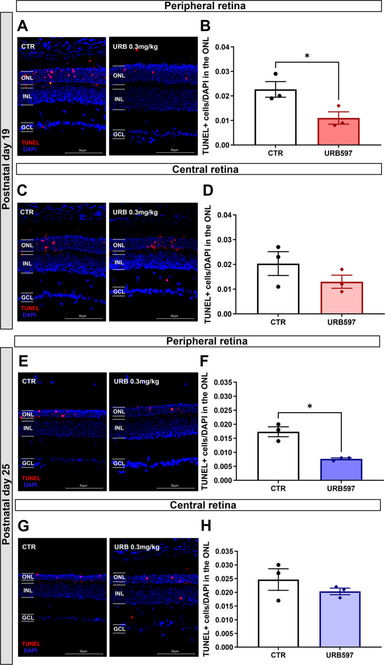 PMC13354659 – Fig5