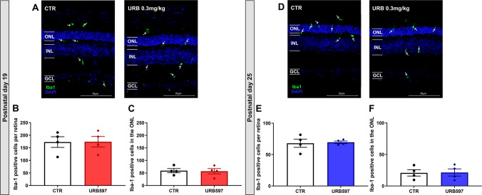 PMC13354659 – Fig7