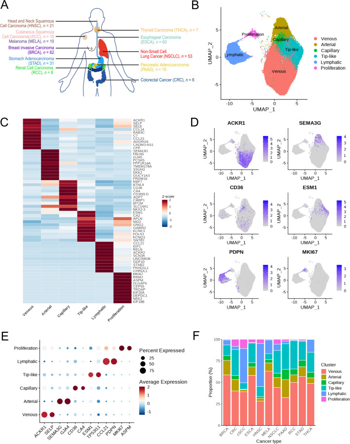 PMC13323434 – Fig1