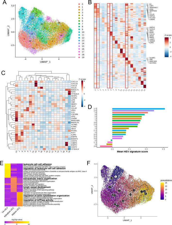 PMC13323434 – Fig2