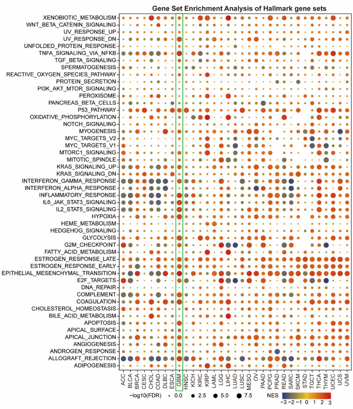 PMC13319849 – Fig4