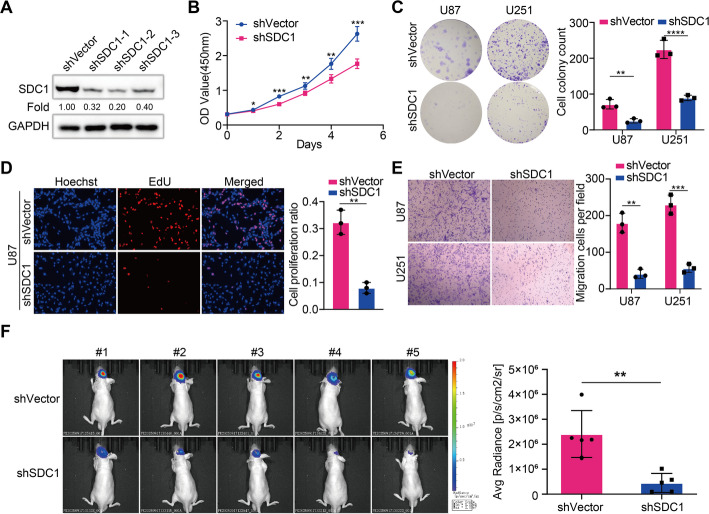 PMC13319849 – Fig8