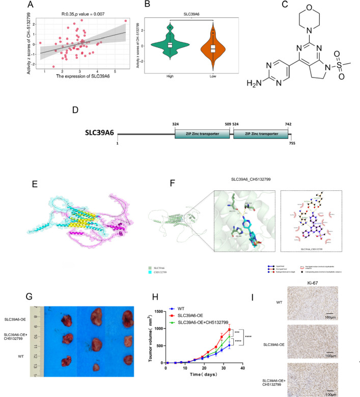 PMC13366974 – Fig11