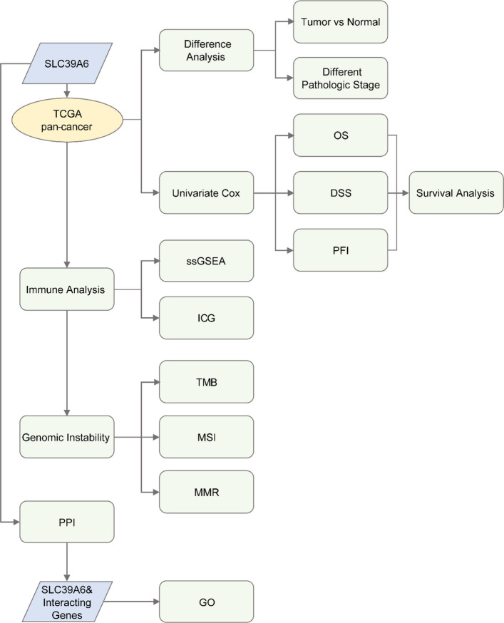 PMC13366974 – Fig1