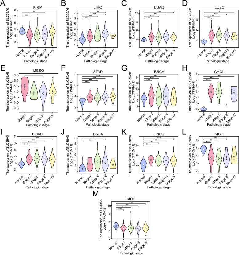 PMC13366974 – Fig3