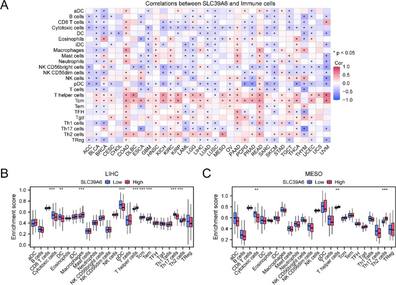 PMC13366974 – Fig7