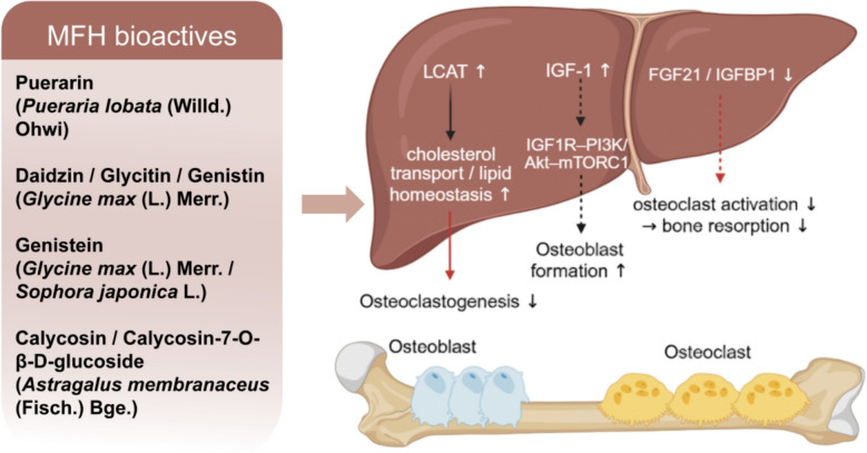 PMC13390145 – Fig3