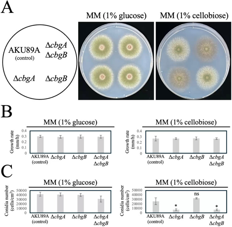PMC13287295 – Fig2