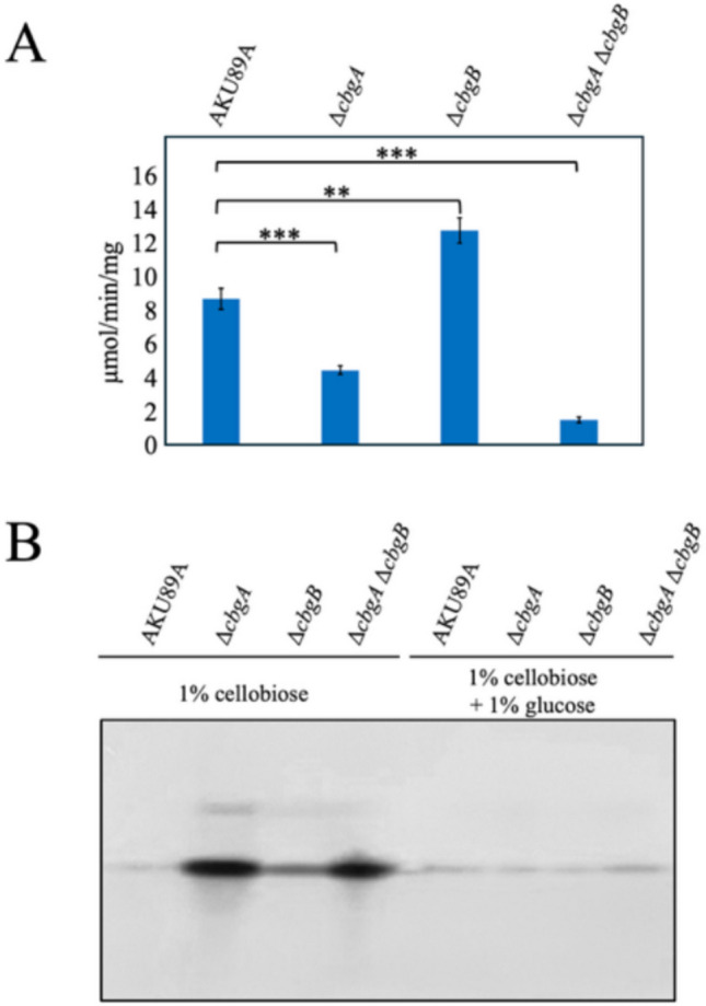 PMC13287295 – Fig4