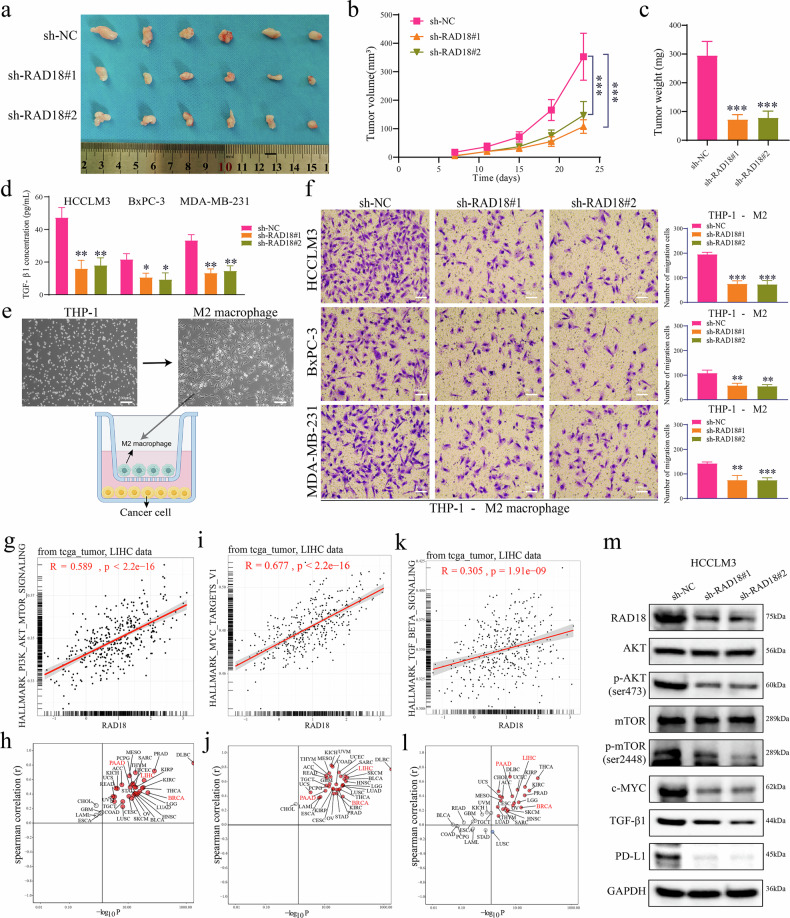PMC13385966 – Fig10