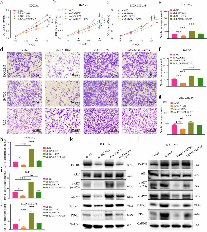 PMC13385966 – Fig11