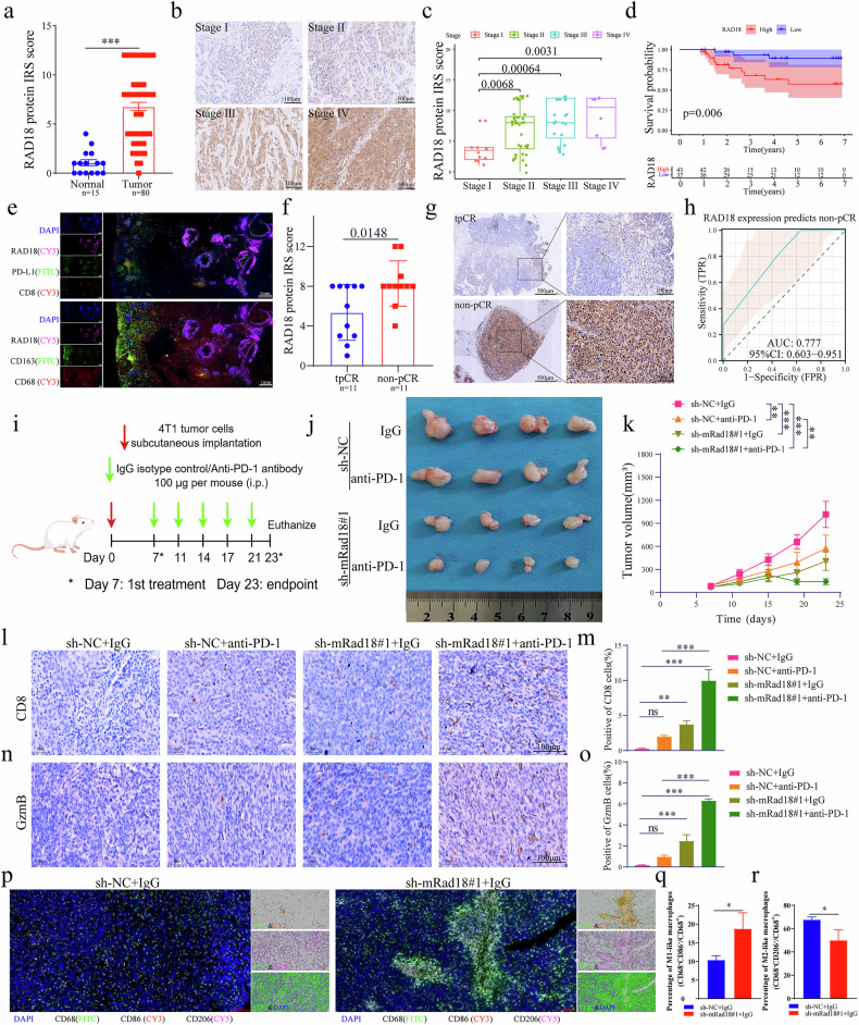 PMC13385966 – Fig12