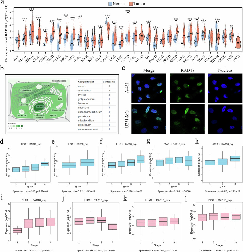 PMC13385966 – Fig1