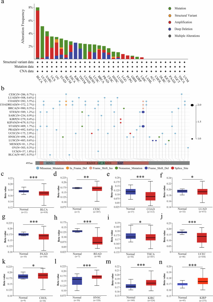 PMC13385966 – Fig2