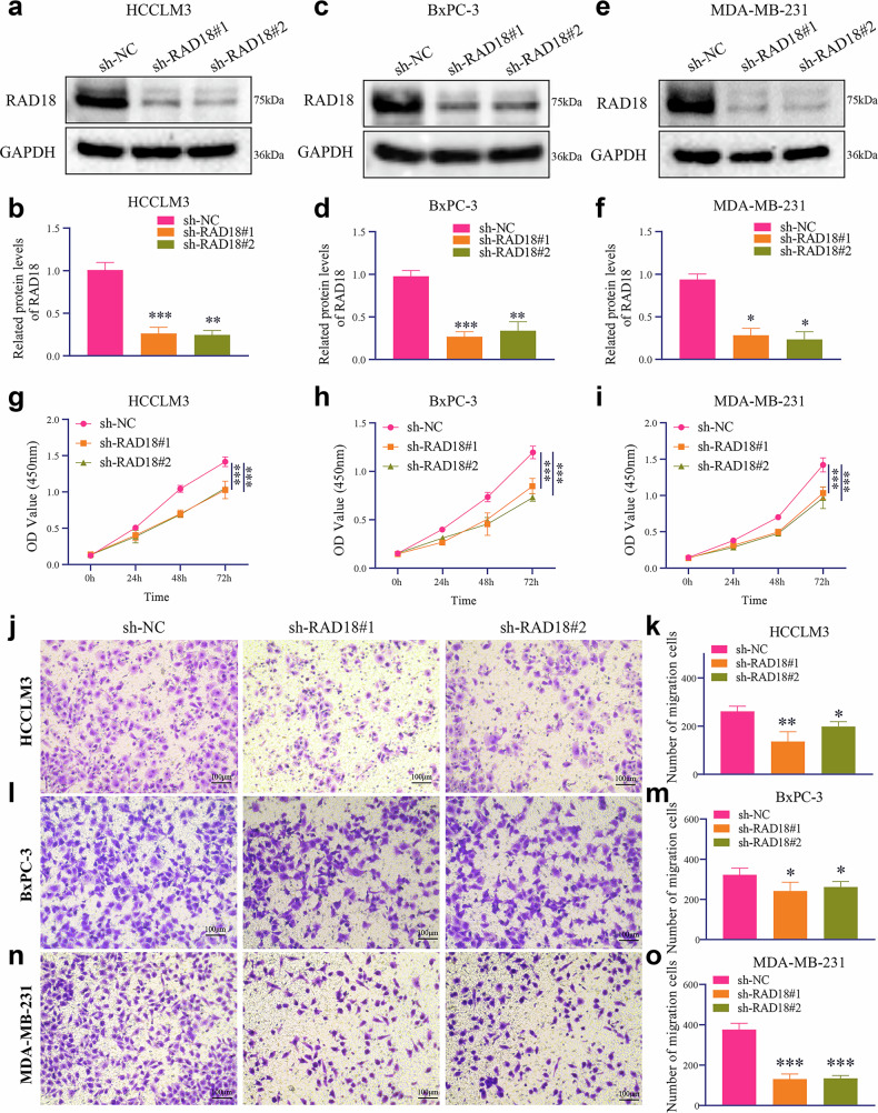 PMC13385966 – Fig9