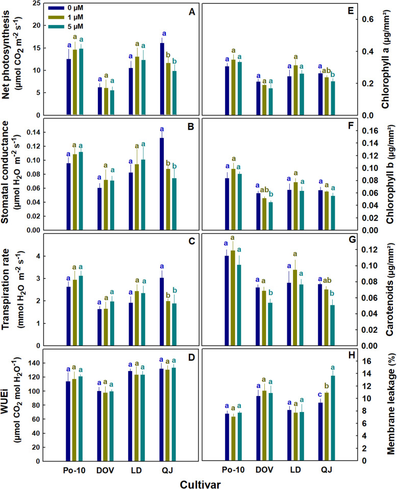 PMC13404096 – Fig3