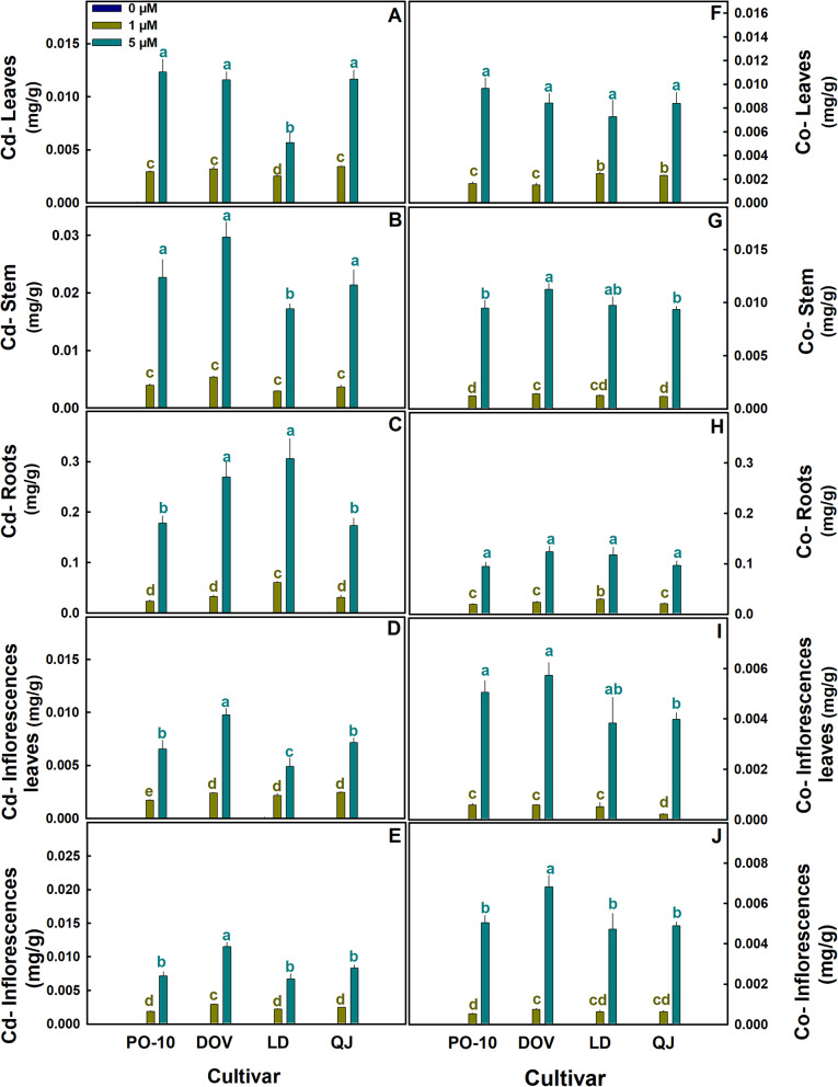 PMC13404096 – Fig6