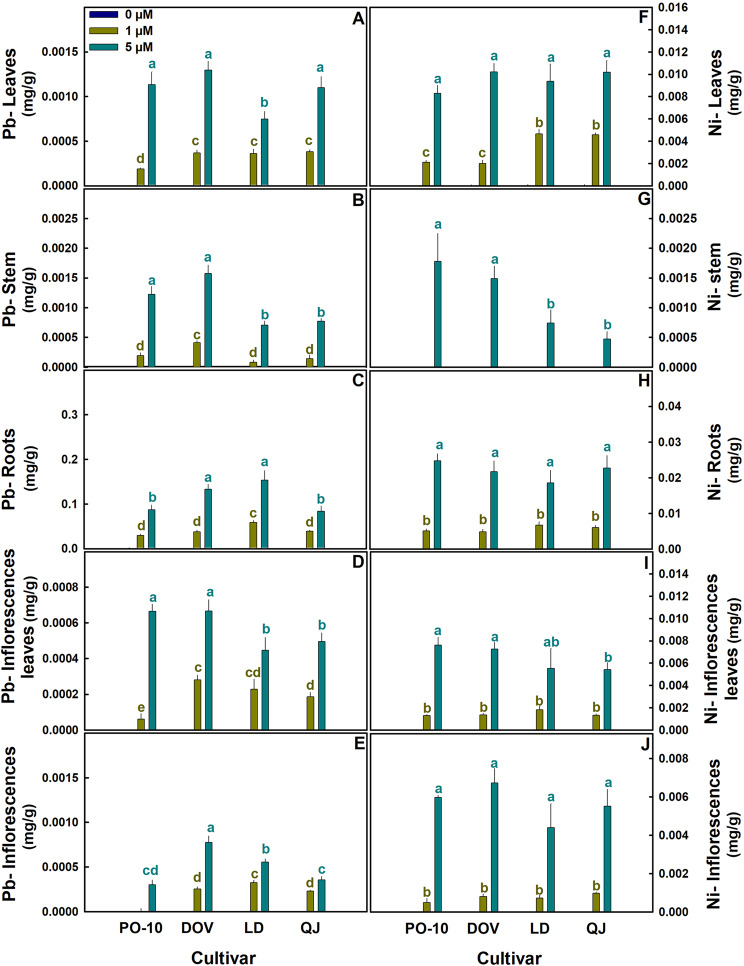 PMC13404096 – Fig7