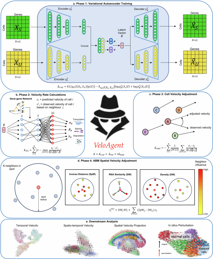 PMC13328566 – Fig1