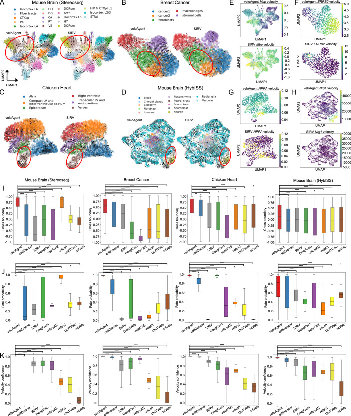 PMC13328566 – Fig2