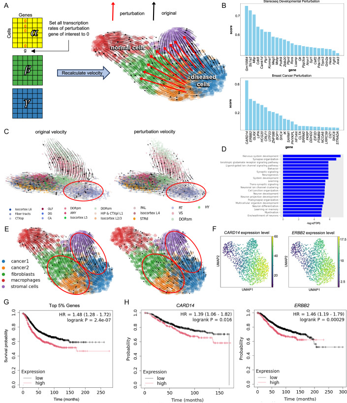PMC13328566 – Fig5