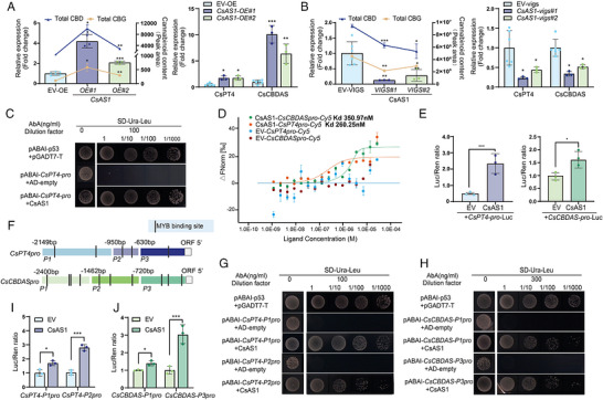 PMC13285160 – advs75055-fig-0005