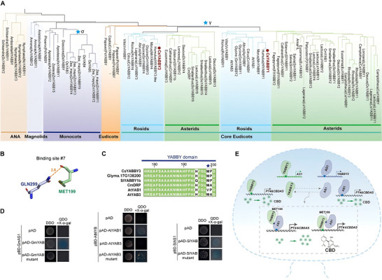 PMC13285160 – advs75055-fig-0008
