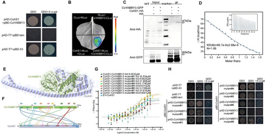 PMC13285160 – advs75055-fig-0004