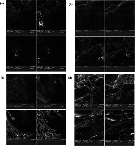 PMC13371991 – cbdv71470-fig-0002