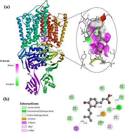 PMC13336807 – cbdv71417-fig-0009